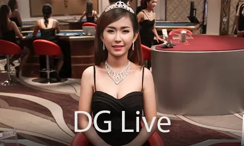 How to Play Online Bingo at Lodi646